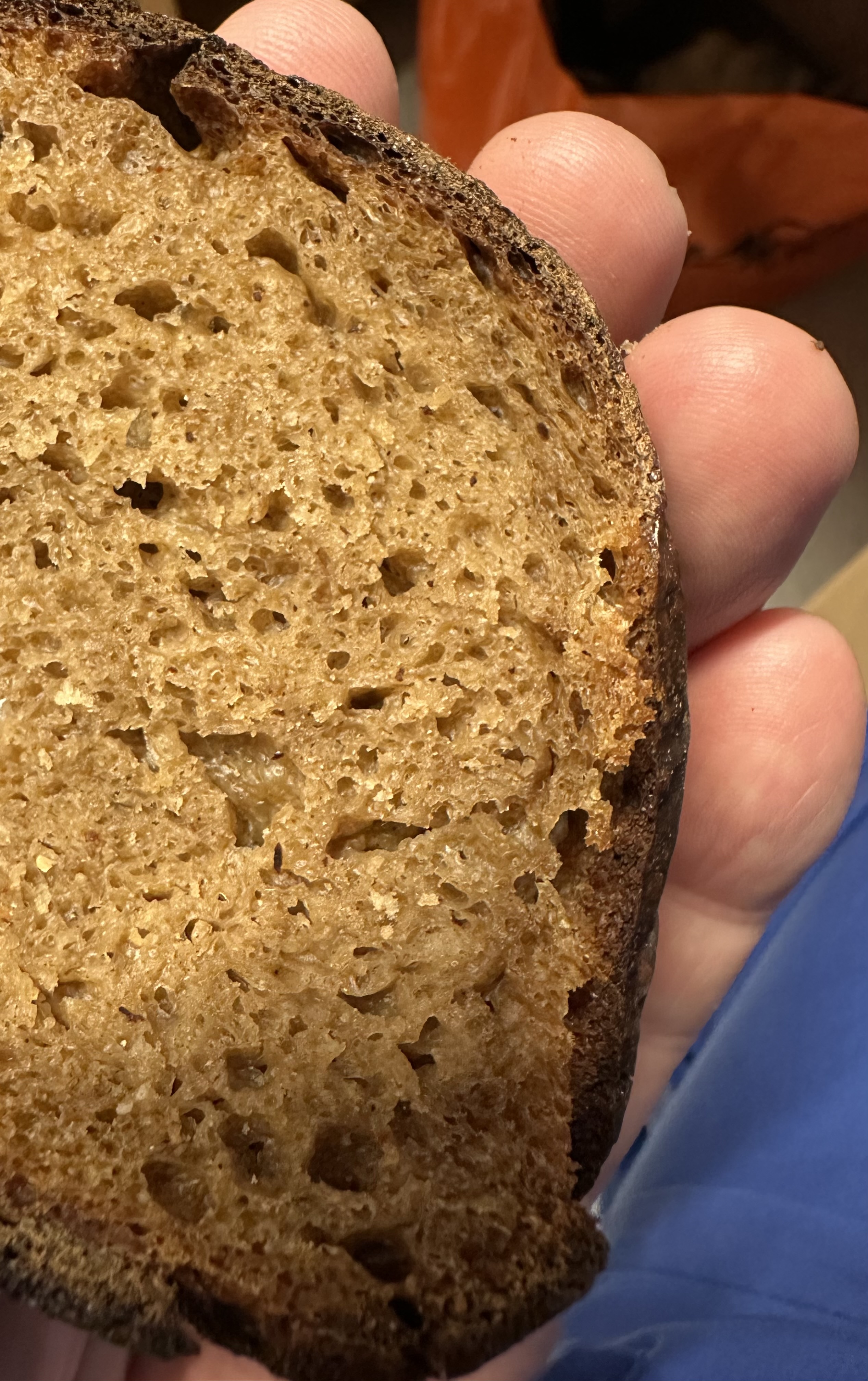 GAz Sourdough — Artisan Bread Baking Journey